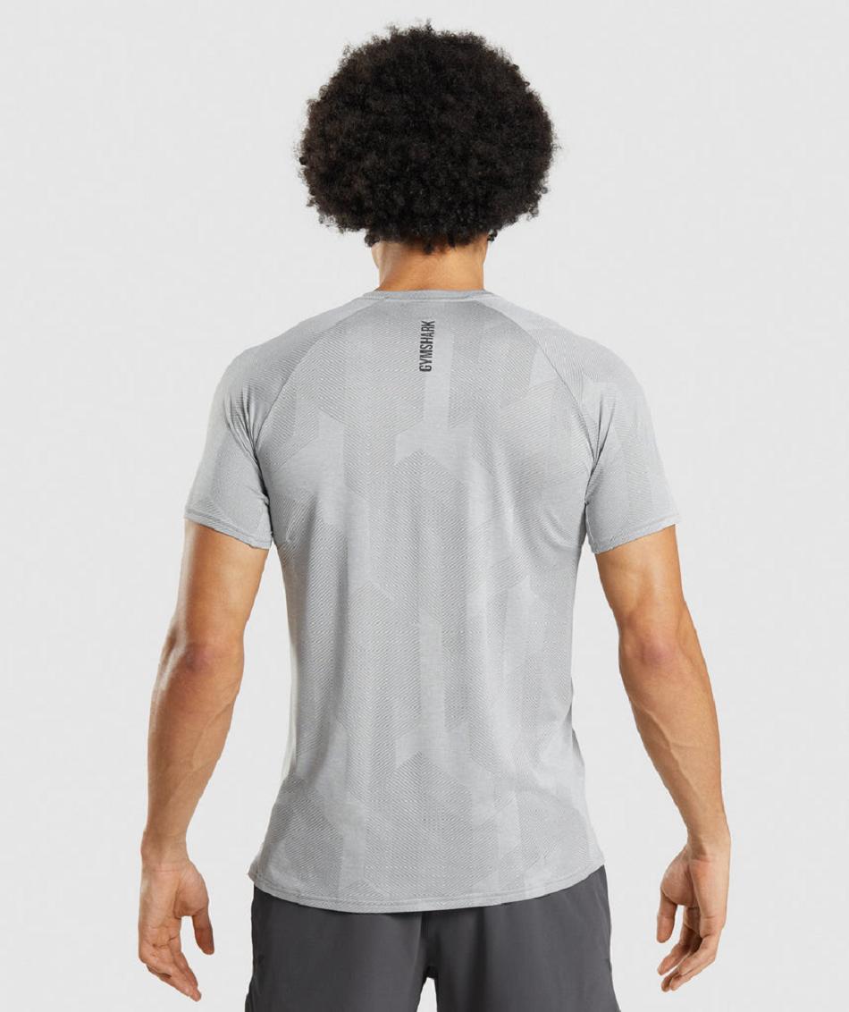 T Shirts Gymshark Apex Hombre Gris Gris Claro | CO 3363VRW